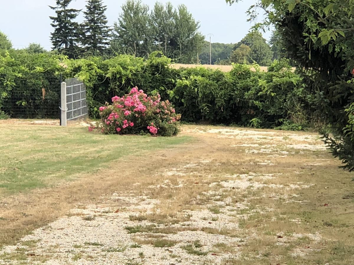 La Cle Des Champs Hotell Le Teilleul Eksteriør bilde